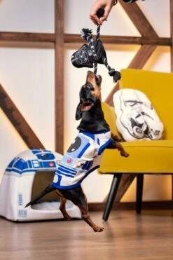 Mordedor Para Perro Star Wars -Animalear Ventas mordedor para perro star wars 7