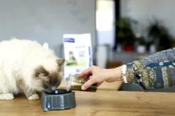 Virbac HPM Adult Neutered & Entire Cat Salmón 8 Virbac HPM Adult Neutered & Entire Cat Salmón -Animalear Ventas neuteredadultcat 6230689653378