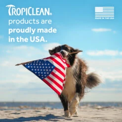 Tropiclean Champú Hipoalergénico Coco 23 Tropiclean Champú Hipoalergénico Coco -Animalear Ventas nn1sysgxpl3edbu8eyft 4 6368c66bc4117