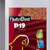 VERSELE-LAGA Nutribird P19 Tropical -Cria 1 VERSELE-LAGA Nutribird P19 Tropical -Cria -Animalear Ventas nutribird p19 tropical cria 1