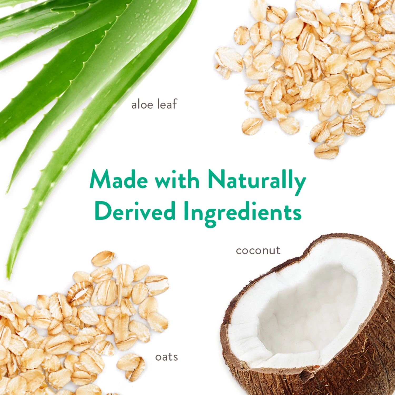 Tropiclean Champú Hipoalergénico Coco 6 Tropiclean Champú Hipoalergénico Coco - Imagen 4