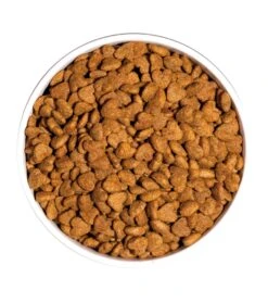 Pienso Para Gatos Classic Light 8 Pienso Para Gatos Classic Light -Animalear Ventas ow classic light cat platoadl 6389ee8aac24a