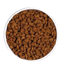 Pienso Para Gatos Classic Sterilized 8 Pienso Para Gatos Classic Sterilized -Animalear Ventas ow classic sterilized platoadl 6389edb0603bc