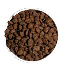 Just Canine Adult Grain Free Pollo -Animalear Ventas ow just grain free adult chicken dog platoadl 6389ebb48c9c4