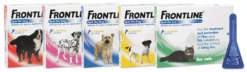 Frontline Spot On Para Perros (20 - 40 Kg) -Animalear Ventas packshot 62729a9d71a1b