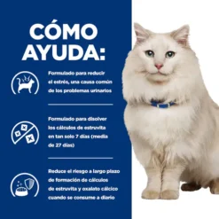 Hill's PD Feline C/d (Pescado Océano) -Animalear Ventas pd feline prescription diet cd multicare stress ocean fish dry productSpotlight1 500 63bfe7f3e5402