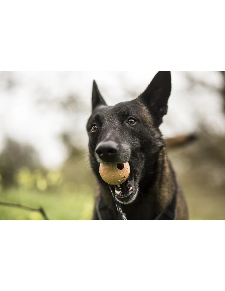 Julius K9 Pelota IDC Con Asa 4 Julius K9 Pelota IDC Con Asa - Imagen 2