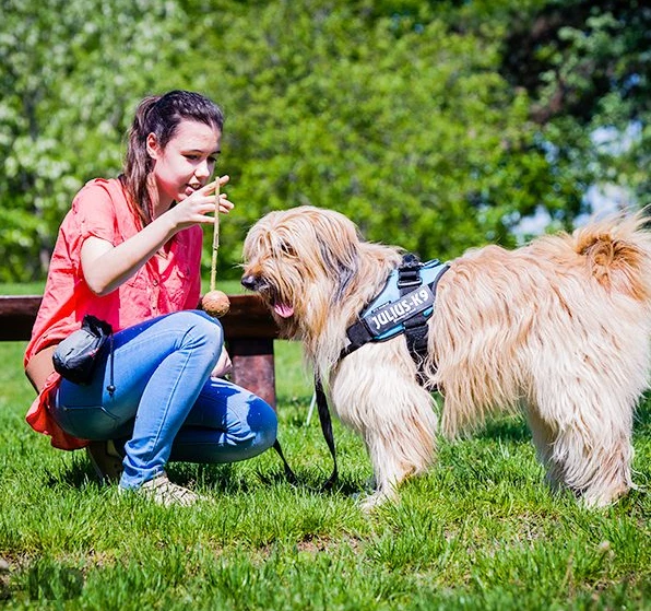 Julius K9 Pelota IDC Con Asa 9 Julius K9 Pelota IDC Con Asa - Imagen 7