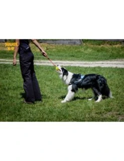 Julius K9 Pelota IDC Fluorescente Amarilla -Animalear Ventas pelota idc lumino asa cerrable 3 63a02a1b8bb2e