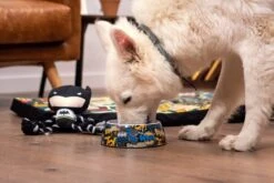 Peluche Para Perro Batman -Animalear Ventas peluche para perro batman 7