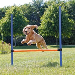 Trixie Valla De Agility Para Perros -Animalear Ventas perro saltar agility 64b93aad9f32c