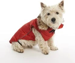 KRUUSE Abrigo Para Perros Buster Active Rojo 12 KRUUSE Abrigo Para Perros Buster Active Rojo -Animalear Ventas perro westie con chaqueta roja 634537683aabd