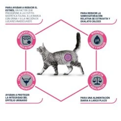 Advance Cat Urinary Stress 17 Advance Cat Urinary Stress -Animalear Ventas pienso gato urinary stress advance 6273c78ba6a5d