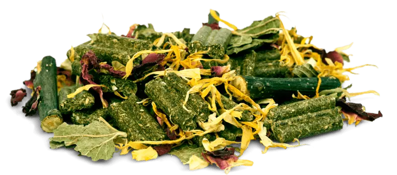 Bunny Pienso Completa Basic Para Chinchillas 4 Bunny Pienso Completa Basic Para Chinchillas - Imagen 2