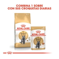 ROYAL CANIN British Shorthair Pienso Para Gato Adulto De Raza 18 ROYAL CANIN British Shorthair Pienso Para Gato Adulto De Raza -Animalear Ventas pienso para gatos british shorthair royal canin 62f508a78e799