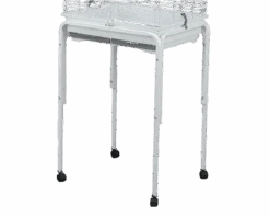 Pie Para Jaula Loro - Chenoa - Agora