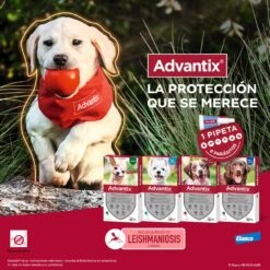 Advantix Pipetas Spot On Para Perro De 4-10 Kg -Animalear Ventas pipetas advantix 63ea6f283fe0d