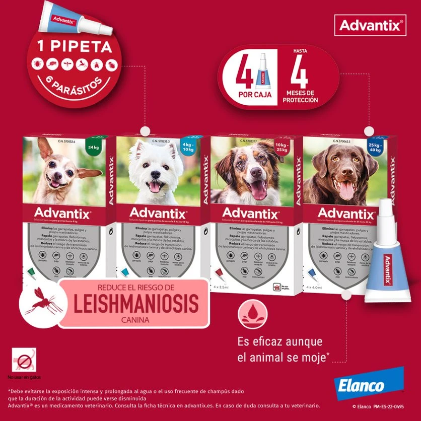 Advantix Pipetas Spot On Para Perro Hasta 4 Kg 7 Advantix Pipetas Spot On Para Perro Hasta 4 Kg - Imagen 5