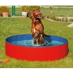 Flamingo Piscina Doggy Pool Para Perros Roja -Animalear Ventas piscina doggy pool roja azul