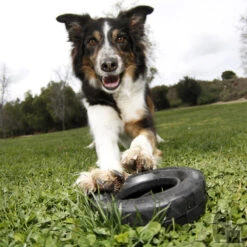 KONG Mordedor Rueda Extreme -Animalear Ventas pneu 3 800x800 6255bd98e847d