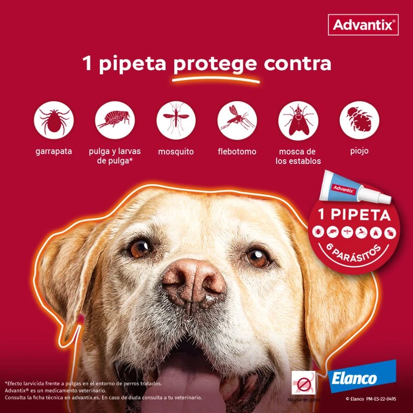 Advantix Pipetas Spot On Para Perro Hasta 4 Kg 8 Advantix Pipetas Spot On Para Perro Hasta 4 Kg - Imagen 6