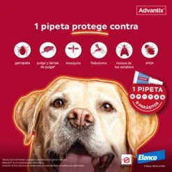 Advantix Pipetas Spot On Para Perro De Más De 25 Kg -Animalear Ventas proteccion pipeta advantix 63ea700503714