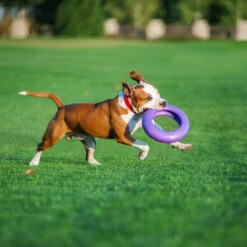 Puller 20 Puller -Animalear Ventas puller 06 548x548 62fe111957cda