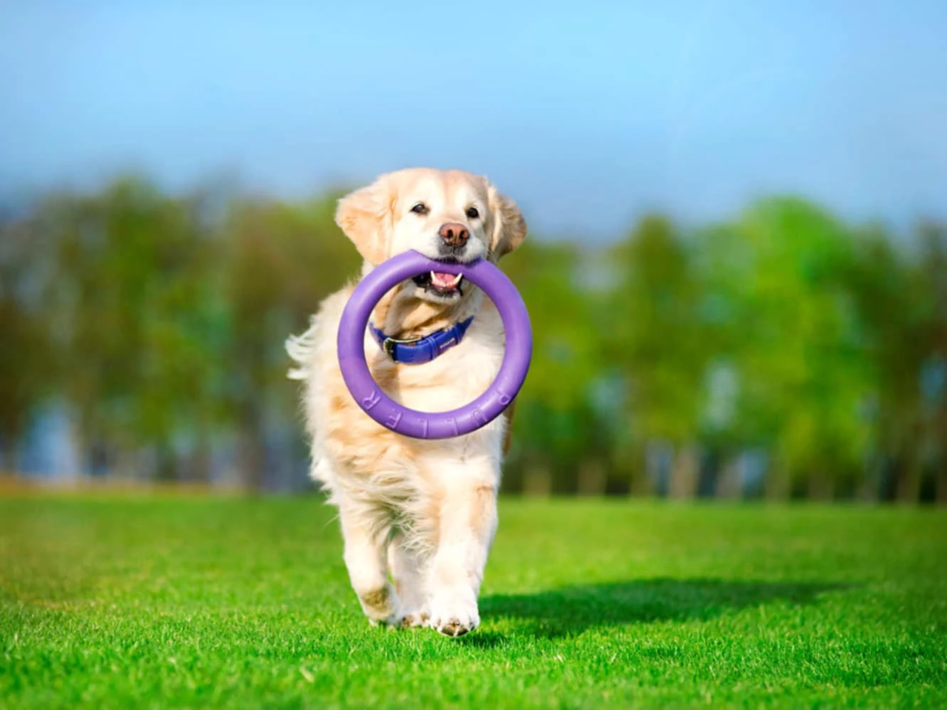 Puller 13 Puller - Imagen 11