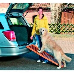 Rampa Para Perro Plegable De Madera 120cm