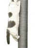 Rascador Para Gato Big Cat 2 Especial Gato Grande -Animalear Ventas rascador para gato big cat 2 especial gato grande 1