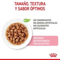 ROYAL CANIN Pack 12 Kitten Sterilised Salsa -Animalear Ventas rc spt wet kittenster cig cv 2 es es 626fa8c5c3dbb