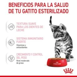 ROYAL CANIN Pack 12 Kitten Sterilised Salsa -Animalear Ventas rc spt wet kittenster cig cv 3 es es 626fa8c265c55