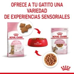 ROYAL CANIN Pack 12 Kitten Sterilised Salsa -Animalear Ventas rc spt wet kittenster cig cv 4 es es 626fa8c148cd5
