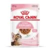 ROYAL CANIN Pack 12 Kitten Sterilised Salsa 1 ROYAL CANIN Pack 12 Kitten Sterilised Salsa -Animalear Ventas rc spt wet kittenster cig mv 3 es es 626fa8bd8bd3b
