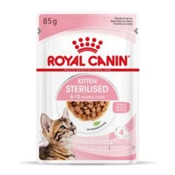ROYAL CANIN Pack 12 Kitten Sterilised Salsa -Animalear Ventas rc spt wet kittenster cig mv 3 es es 626fa8bd8bd3b 62cff9787a3d8
