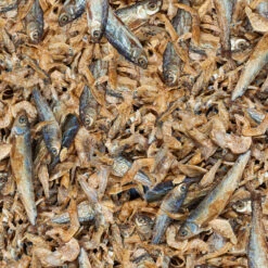 Sera Reptil Raffy Royal Nature -Animalear Ventas reptil raffy royal nature 3