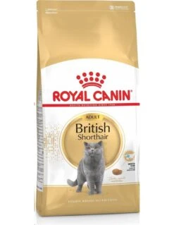 ROYAL CANIN British Shorthair Pienso Para Gato Adulto De Raza 17 ROYAL CANIN British Shorthair Pienso Para Gato Adulto De Raza -Animalear Ventas royal canin british shorthair 63bd8d9189de4