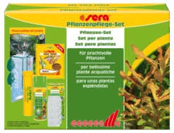 Sera Set Para Obtener Plantas Espléndidas