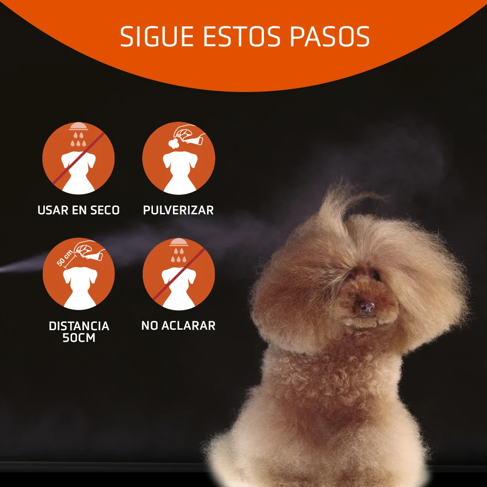 ARTERO Champú Seco Speed 4 ARTERO Champú Seco Speed - Imagen 2