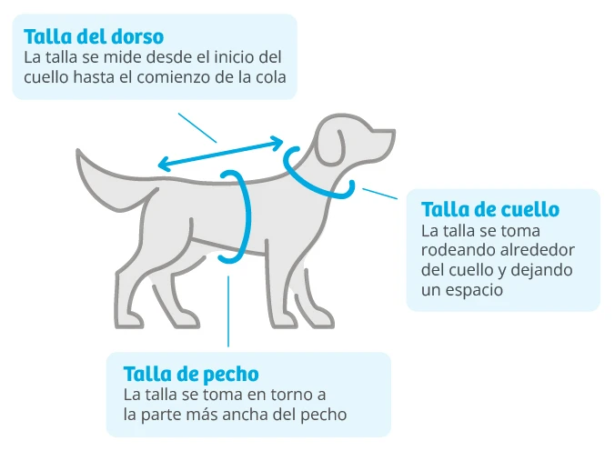 Sudadera Marvel 10 Sudadera Marvel - Imagen 8