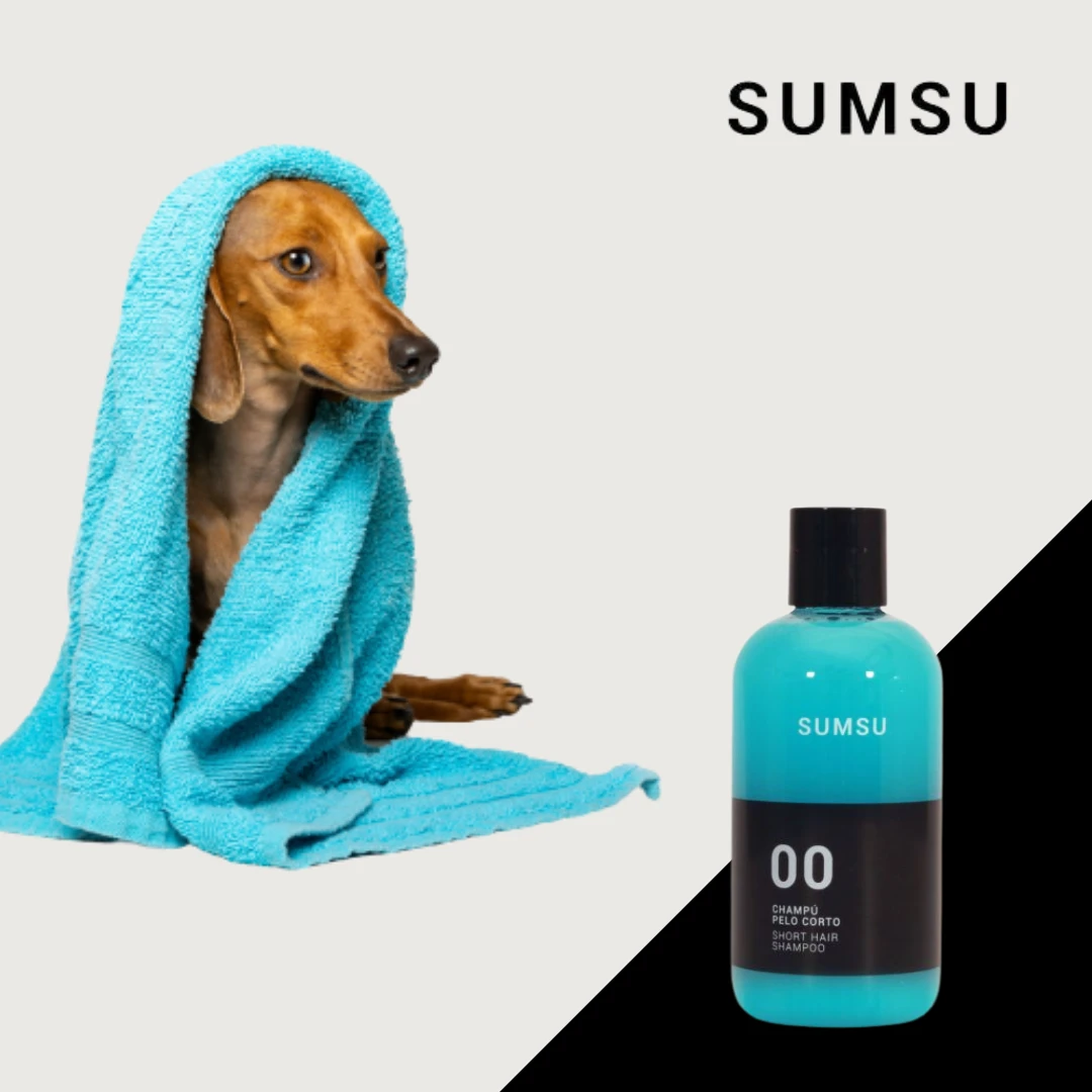 Champú Pelo Corto 4 Champú Pelo Corto - Imagen 2