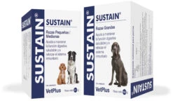 Sustain Para Problemas Intestinales En Perros Pequeños Y Medianos 7 Sustain Para Problemas Intestinales En Perros Pequeños Y Medianos -Animalear Ventas sustain para problemas intestinales en perros pequenos medianos 1