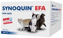 Synoquin Condroprotector Articular En Gatos