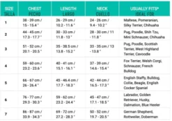 Fuzzyard Camiseta Hawaiana Blue Oasis -Animalear Ventas tallas camisetas hawaianas 6491b6bc1debb g 649ab7830df09