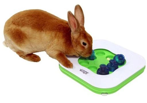 Living World Teach N Treat (juguete Interactivo) 3 Living World Teach N Treat (juguete Interactivo)