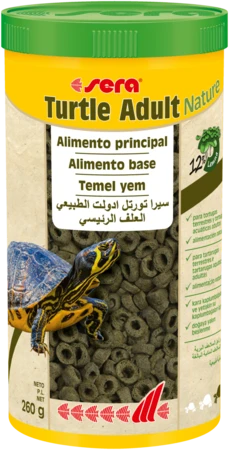 Sera Turtle Adult Nature