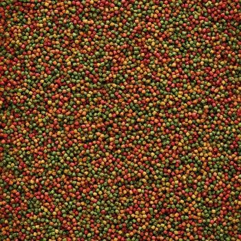 VERSELE-LAGA Nutribird C19 Cría 4 VERSELE-LAGA Nutribird C19 Cría - Imagen 2