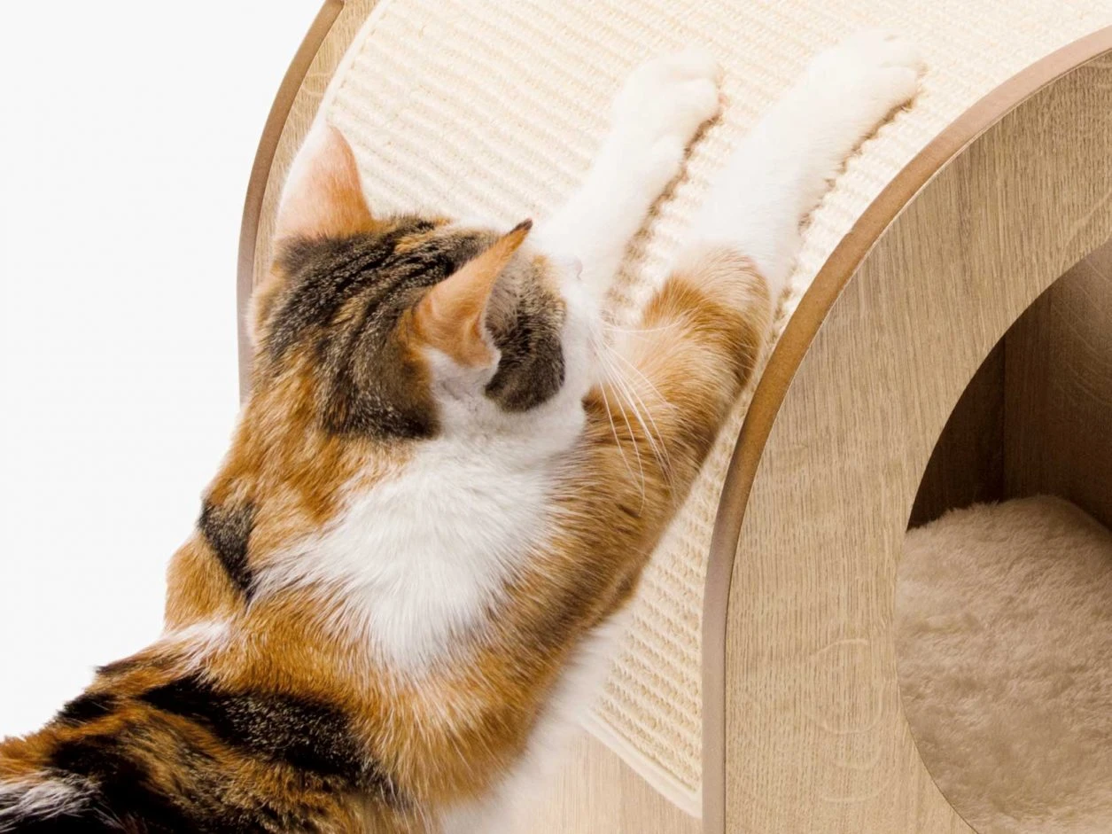 Catit Minou 7 Catit Minou - Imagen 5