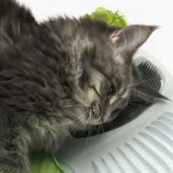 Catit Centro De Masajes Sense 2.0 Wellness -Animalear Ventas wellness multi purpose massager 768x768 jpg 635a36a55c61d