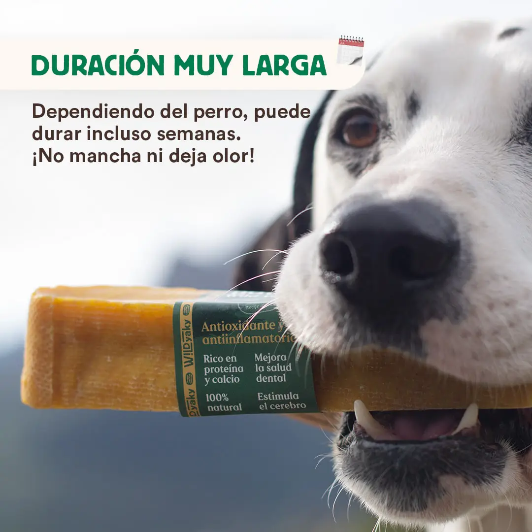 Mordedor Natural Leche De Yak Del Himalaya Con Cúrcuma Para Perros 6 Mordedor Natural Leche De Yak Del Himalaya Con Cúrcuma Para Perros - Imagen 4